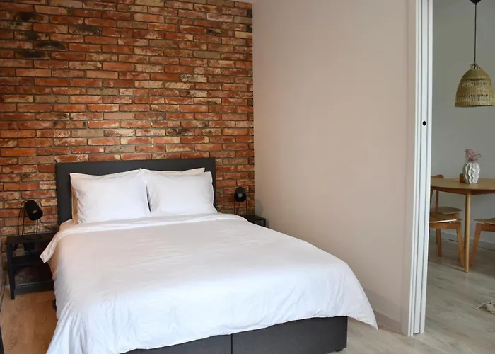 Loft Centrum צ'סטוצ'ובה